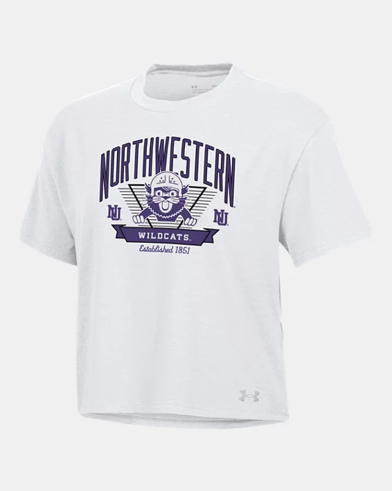 Northwestern University-106